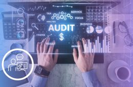 executing-the-audit-process